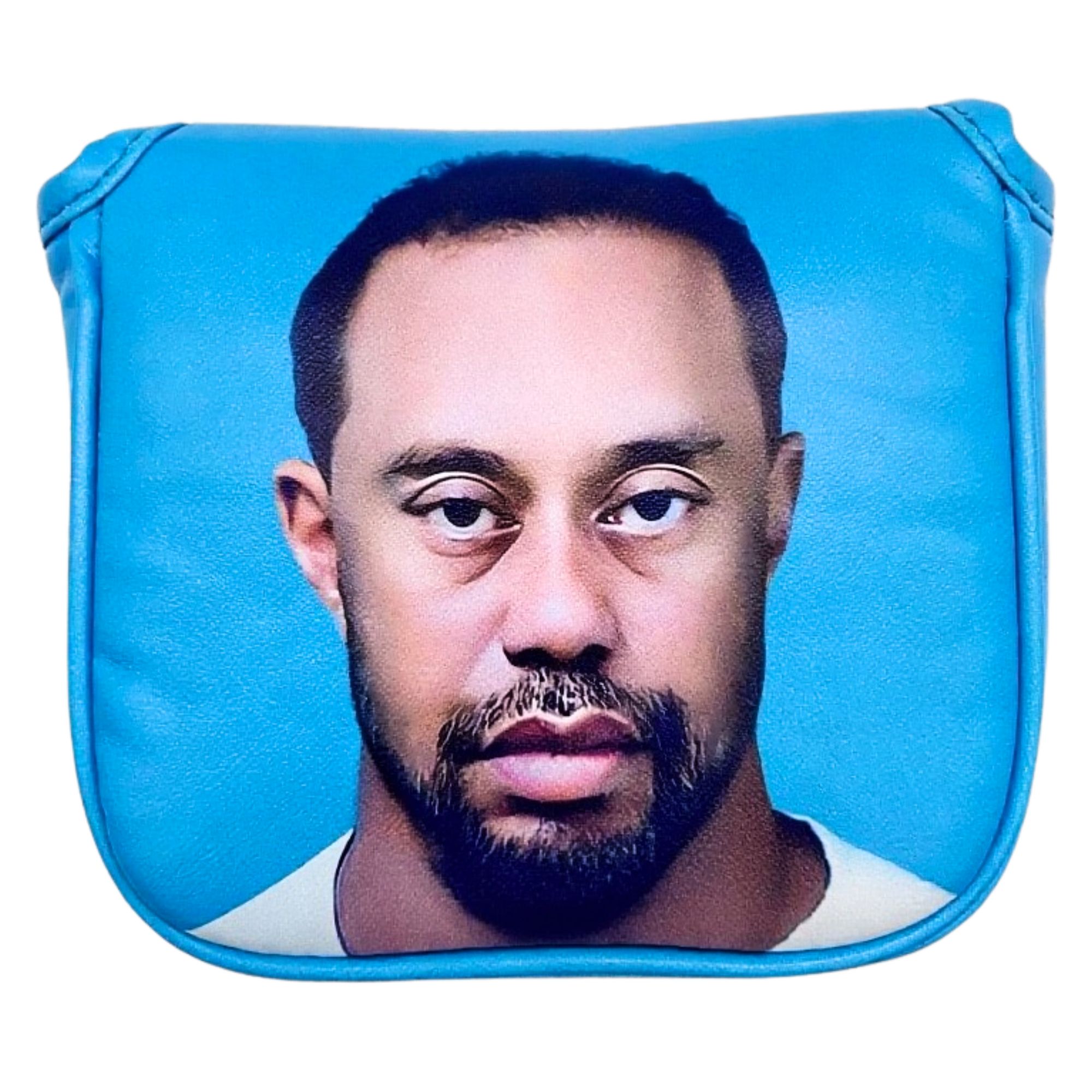 Funny Golf Mallet Putter Head  - đánh giá và giá Golf Putter
